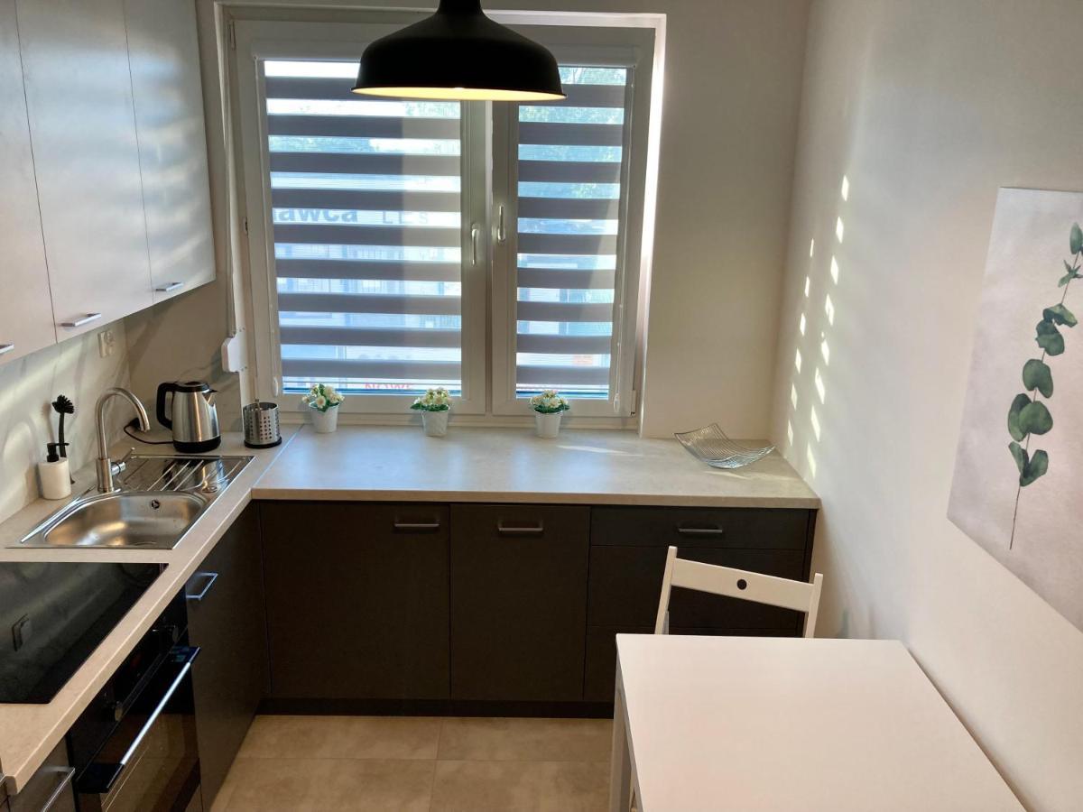 Apartament Lagiewniki Krakow Dış mekan fotoğraf